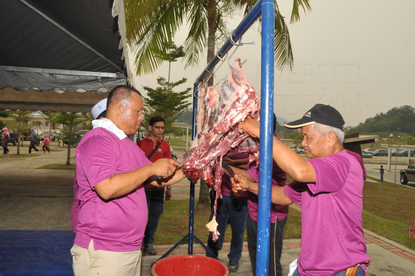 PRO15 150 KORBAN HAS 6911